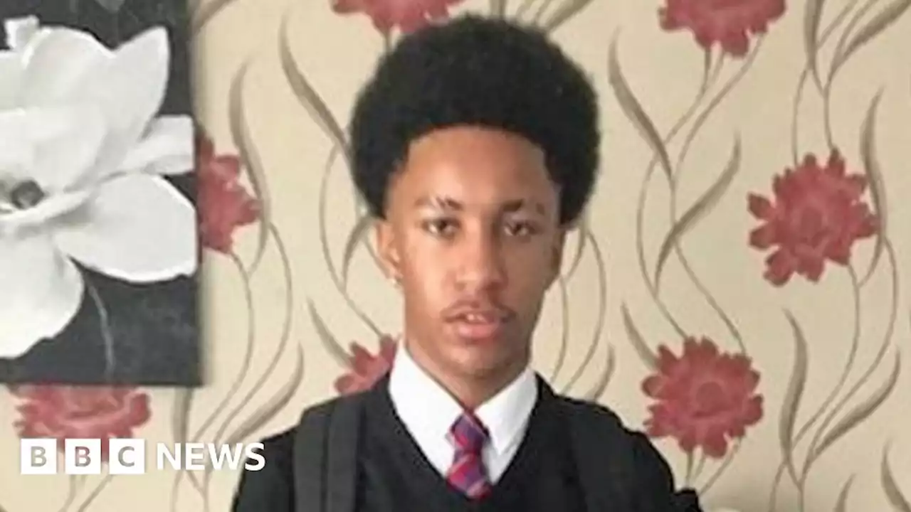 Teenage boys, aged 14 and 16, charged with murder of 16-year-old