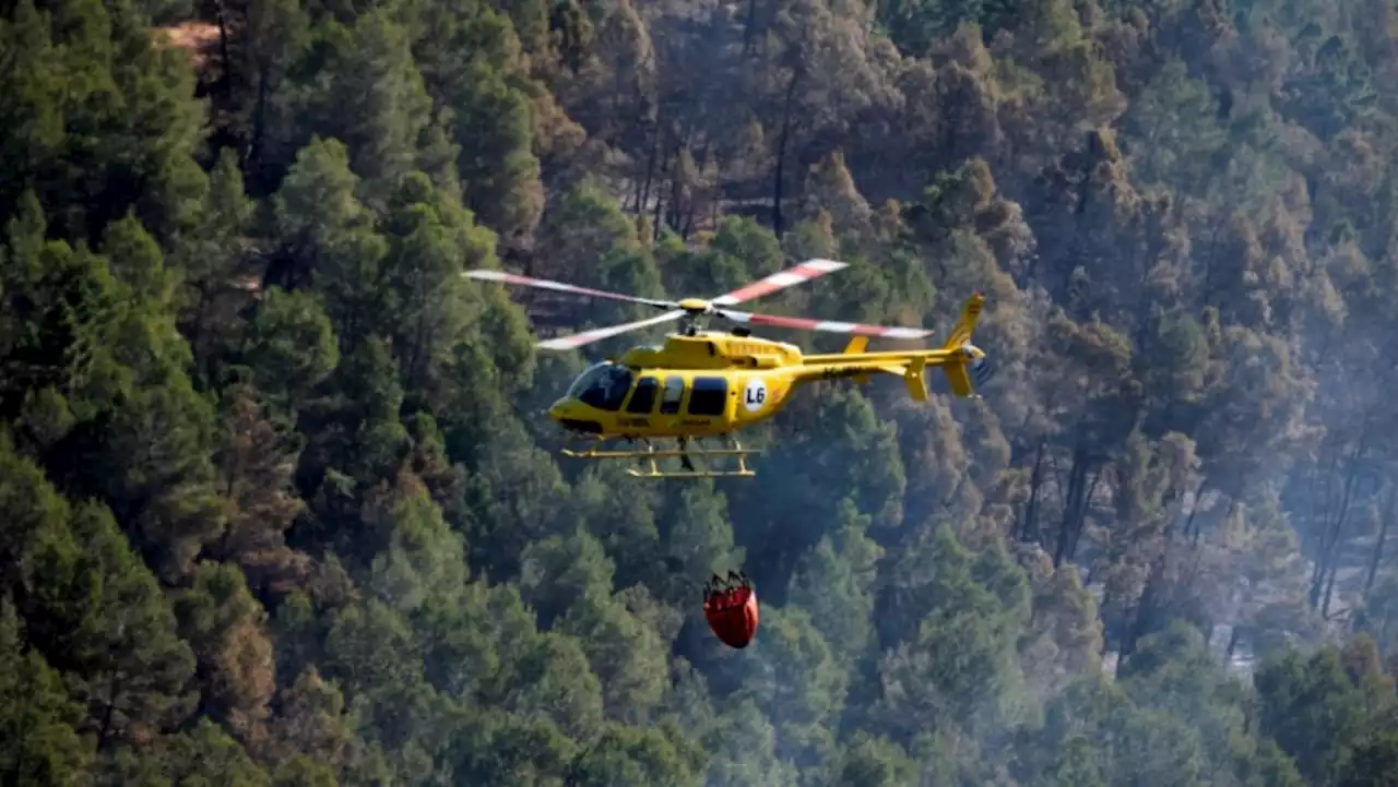 Early wildfire in Spain rages out of control