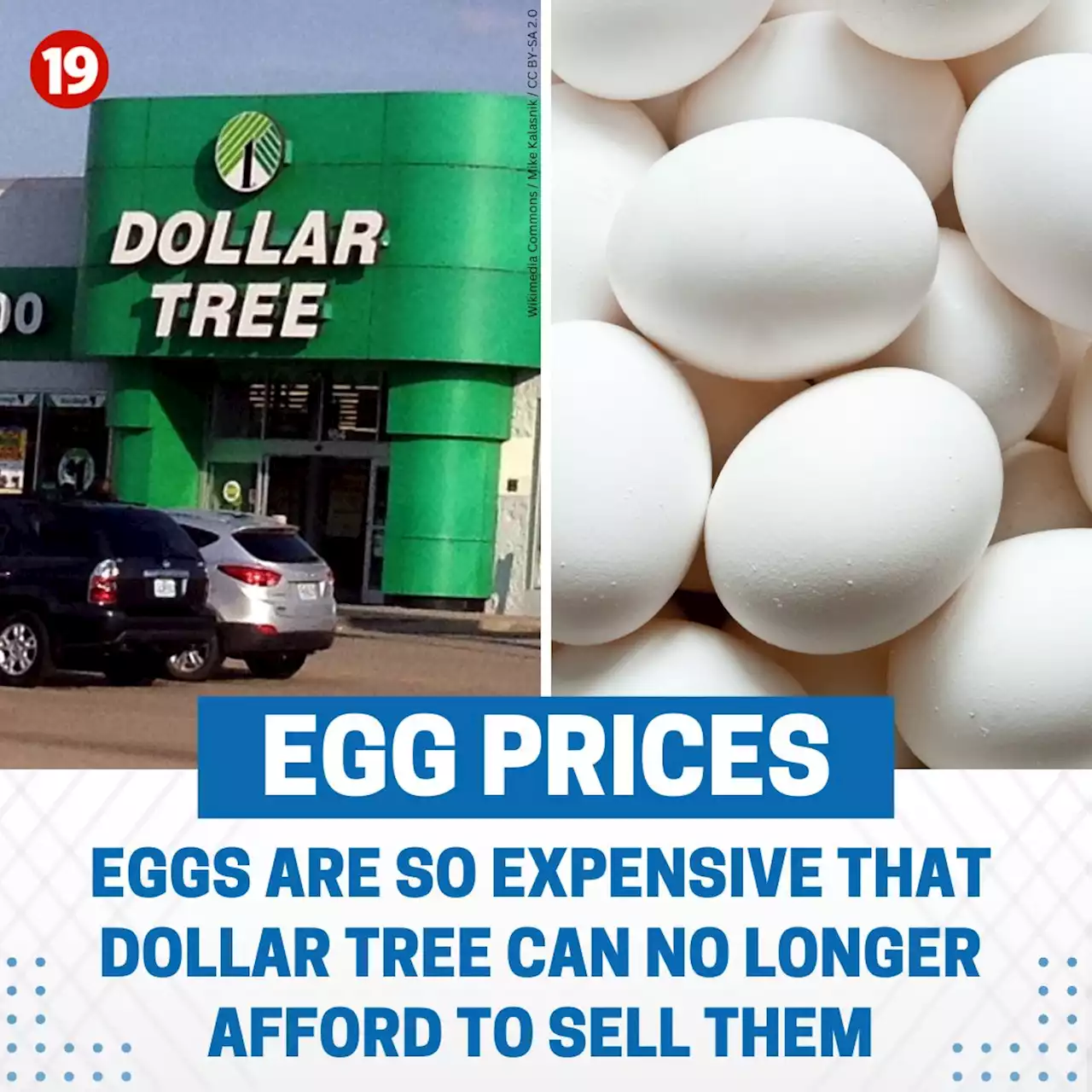 Dollar Tree can’t afford to sell eggs anymore