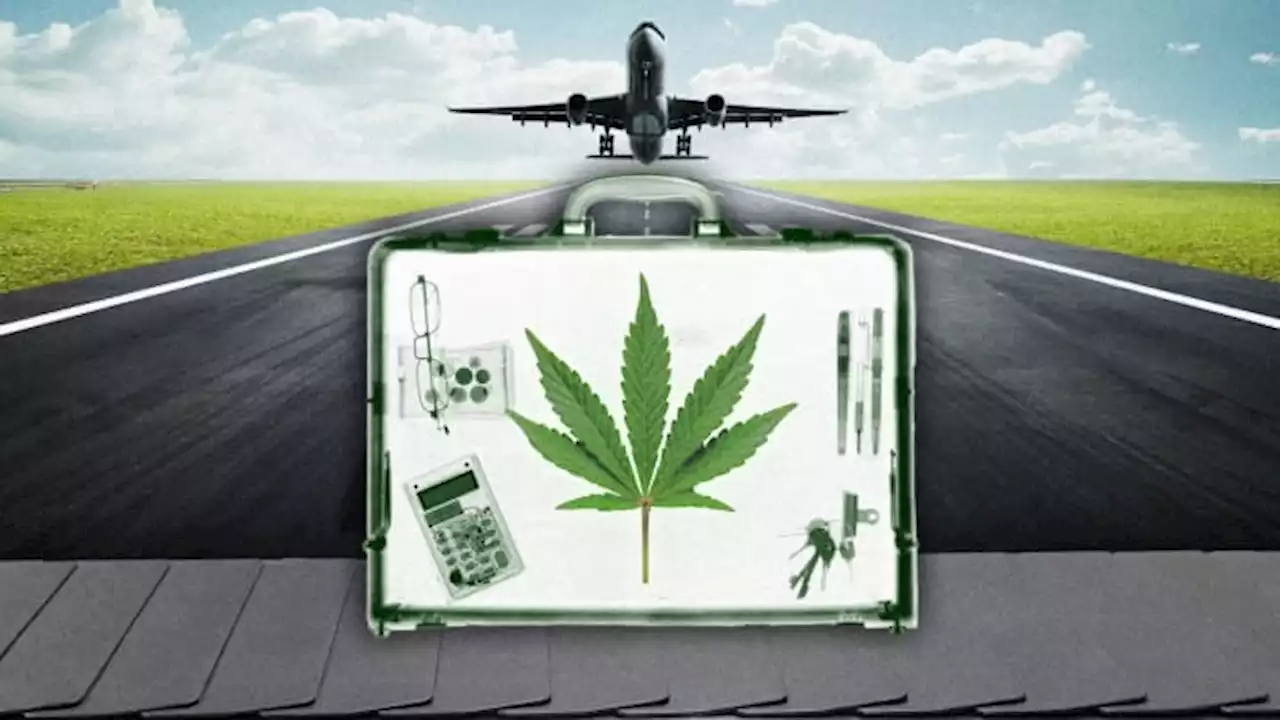 Can you bring weed on a plane? It's complicated