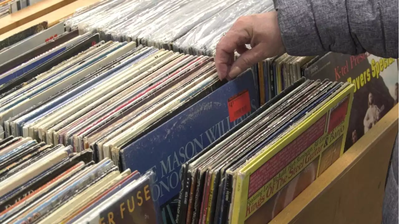 'It's a totally different experience': Vinyl record sales overtake CDs after 37 years