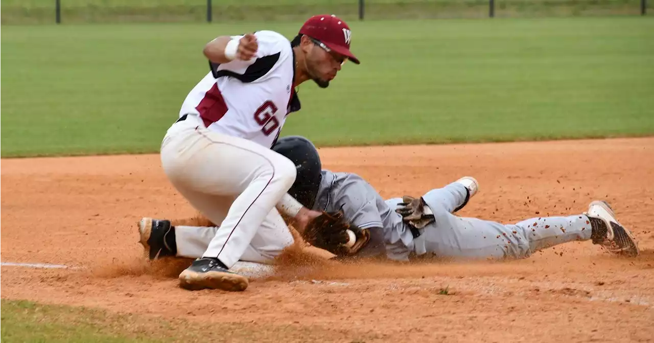 Wallace Govs baseball sweeps LBW