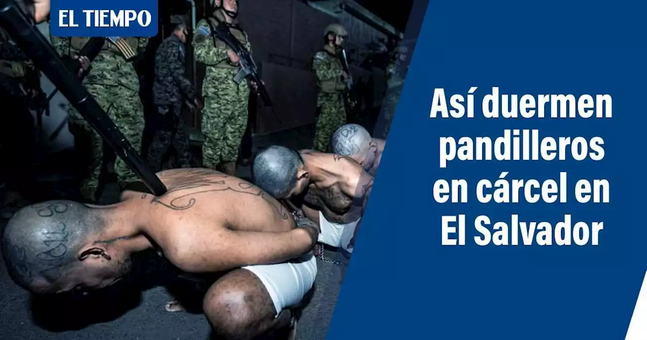 Así duermen los pandilleros capturados en la 'megacárcel' de El Salvador