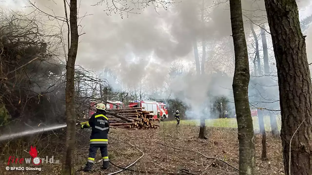 Bgld: Großer Holzstoß brennt in Wald zwischen Großmürbisch und Reinersdorf