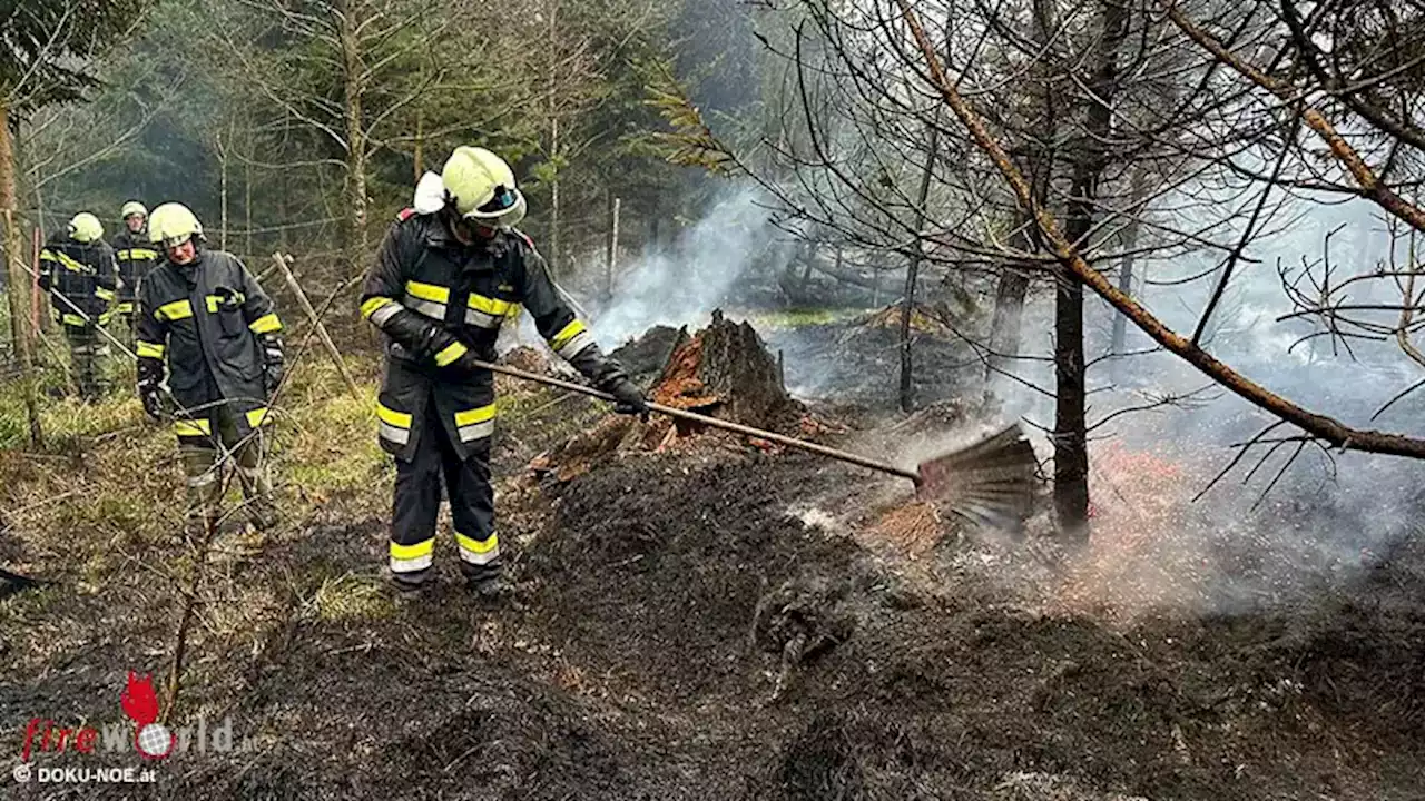 Nö: 12 Feuerwehren bei Waldbrand bei Karlstetten im Einsatz