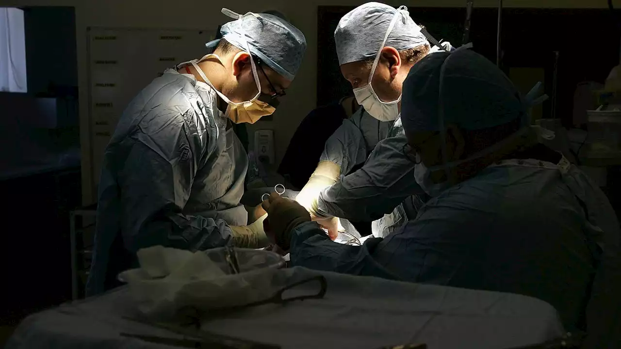 Biden administration plans to revamp, modernize organ transplant system