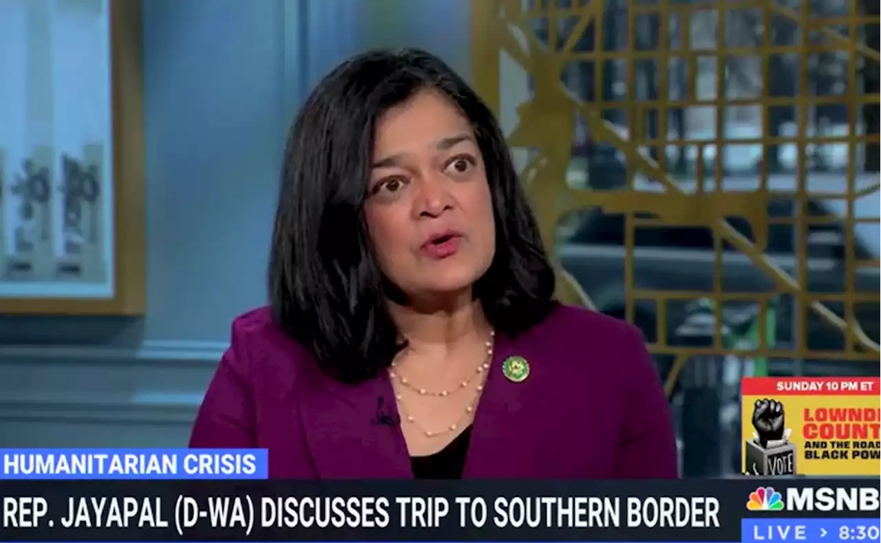 Democratic lawmaker declares America would ‘collapse without immigrants’