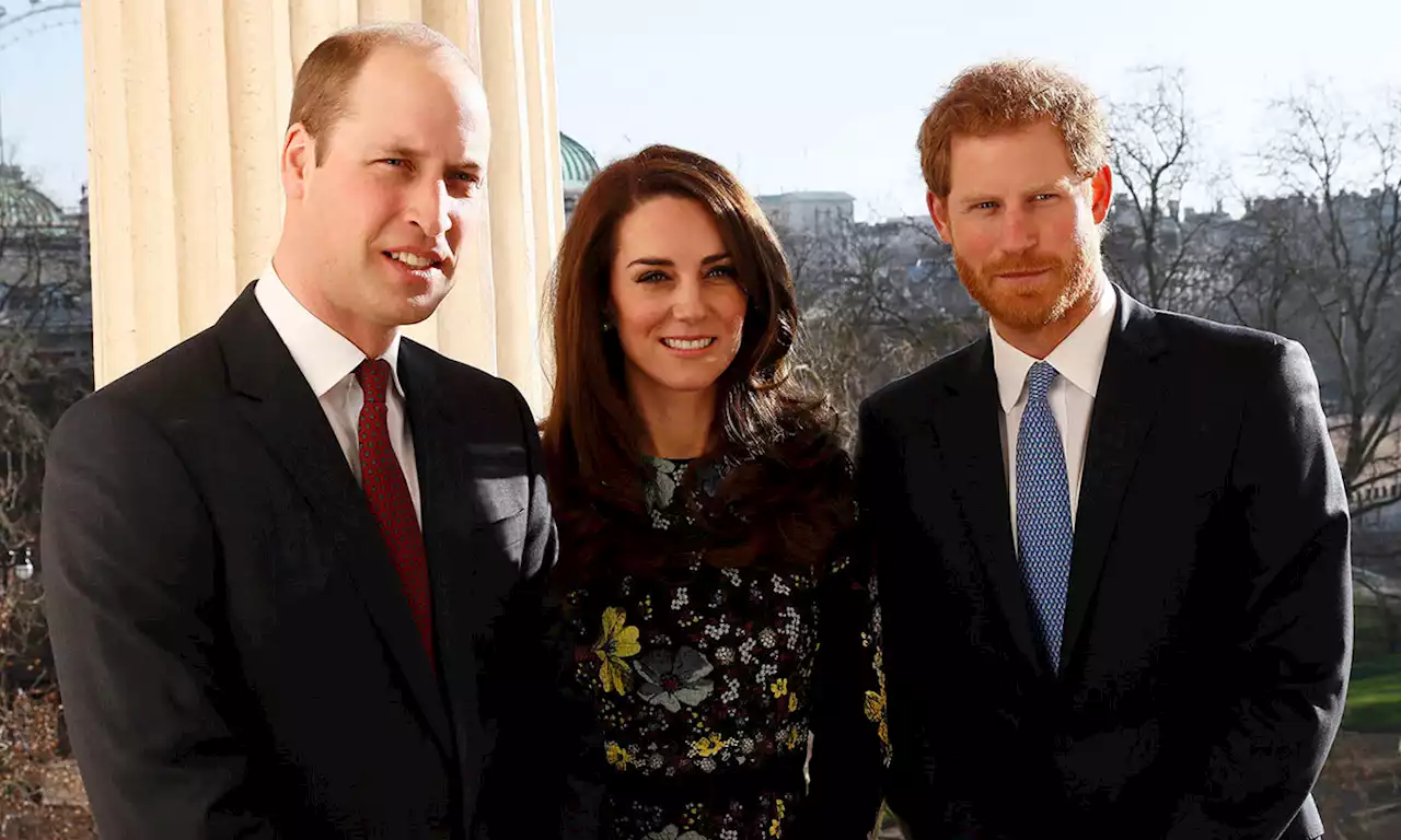 Why Princess Kate and Prince Harry have this honour but Prince William doesn't