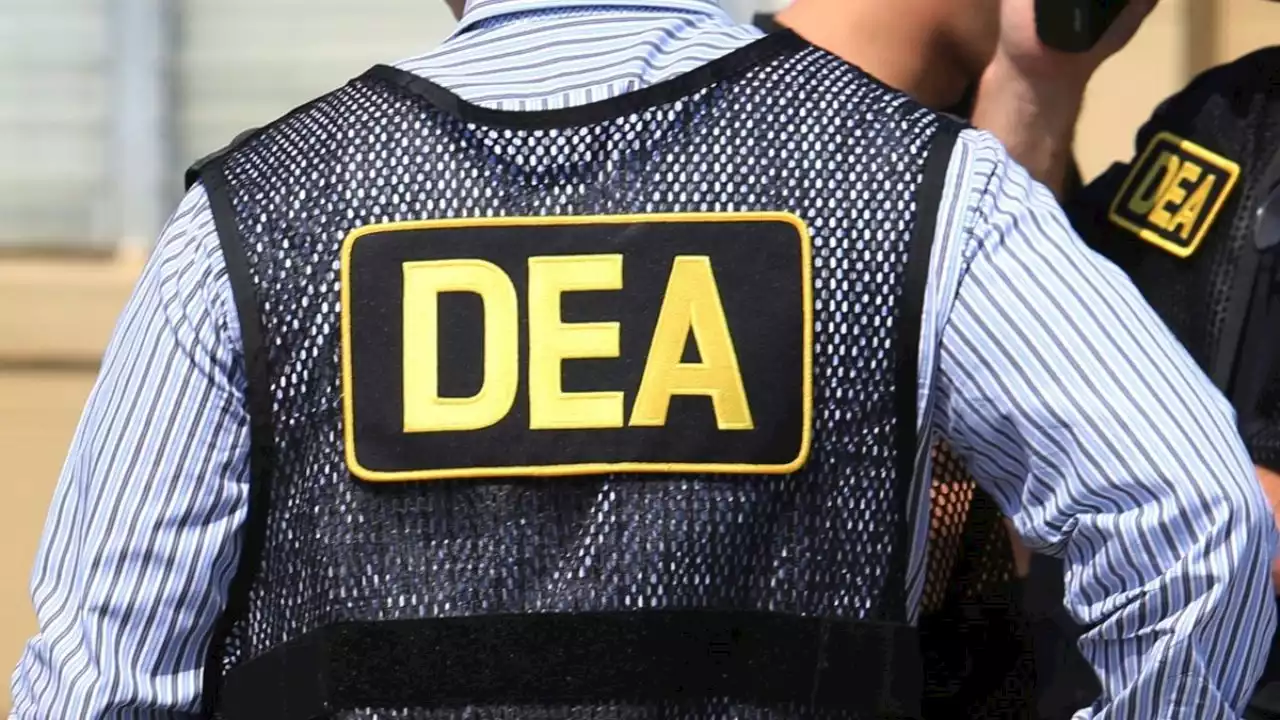 La DEA persigue al CJNG y al Cártel de Sinaloa: informa que creó unidades especiales para combatirlos