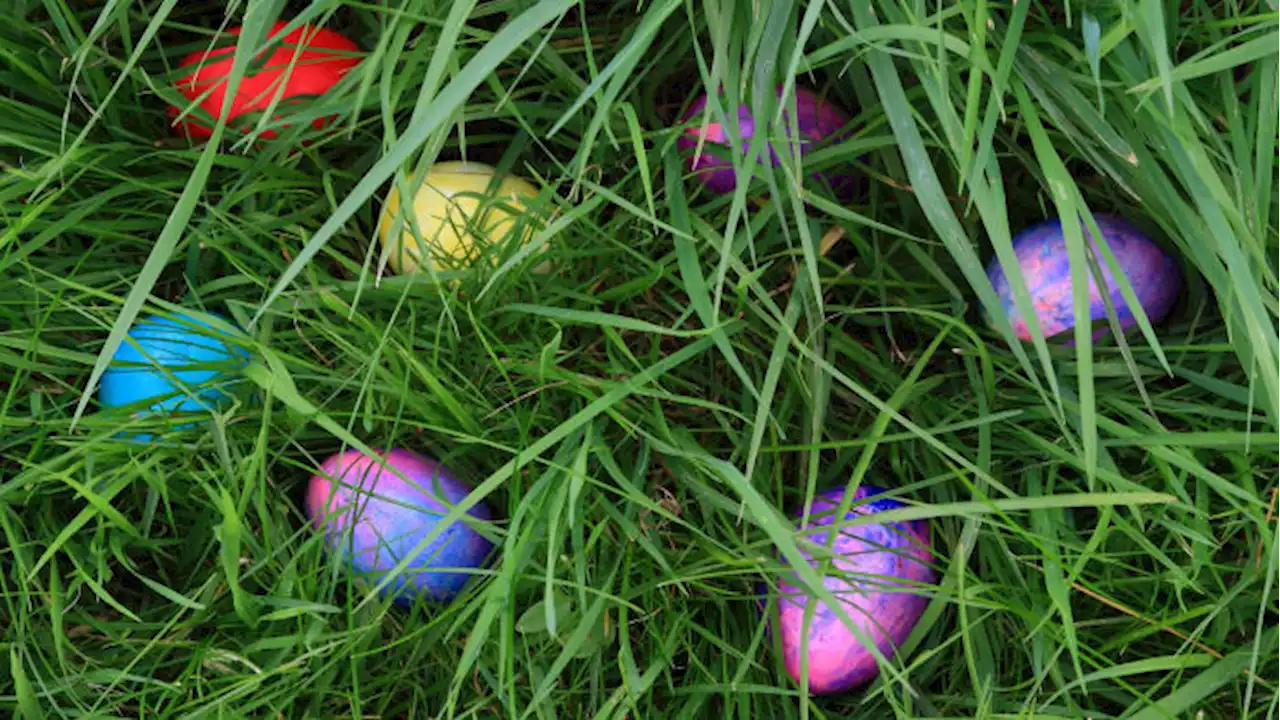 ULTIMATE LIST: Eggcellent Easter egg hunts happening in the Houston area