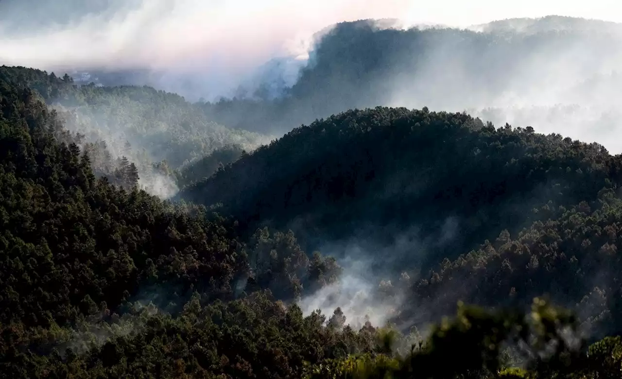 Un gran incendio forestal en España ya afectó tres mil 900 hectáreas