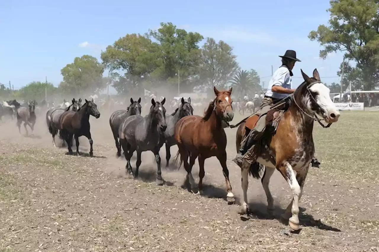 Rincón Gaucho: elogio del trabajo criollo en la pluma de un catalán ilustre