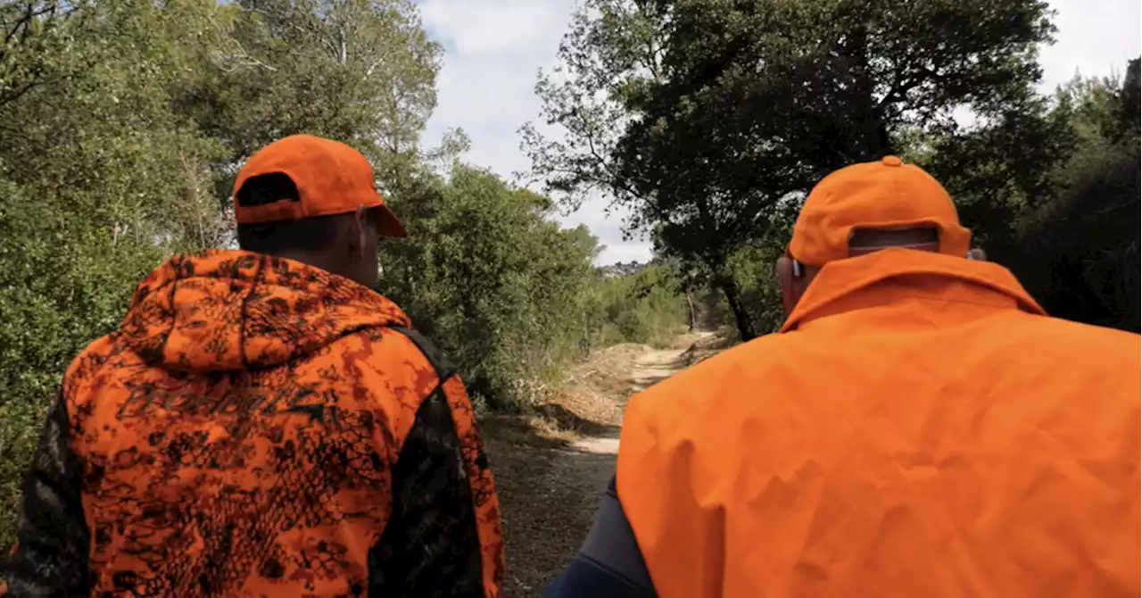 Cheval-Blanc - Vidéo : le maire veut encadrer la chasse le dimanche et l'utilisation des carabines