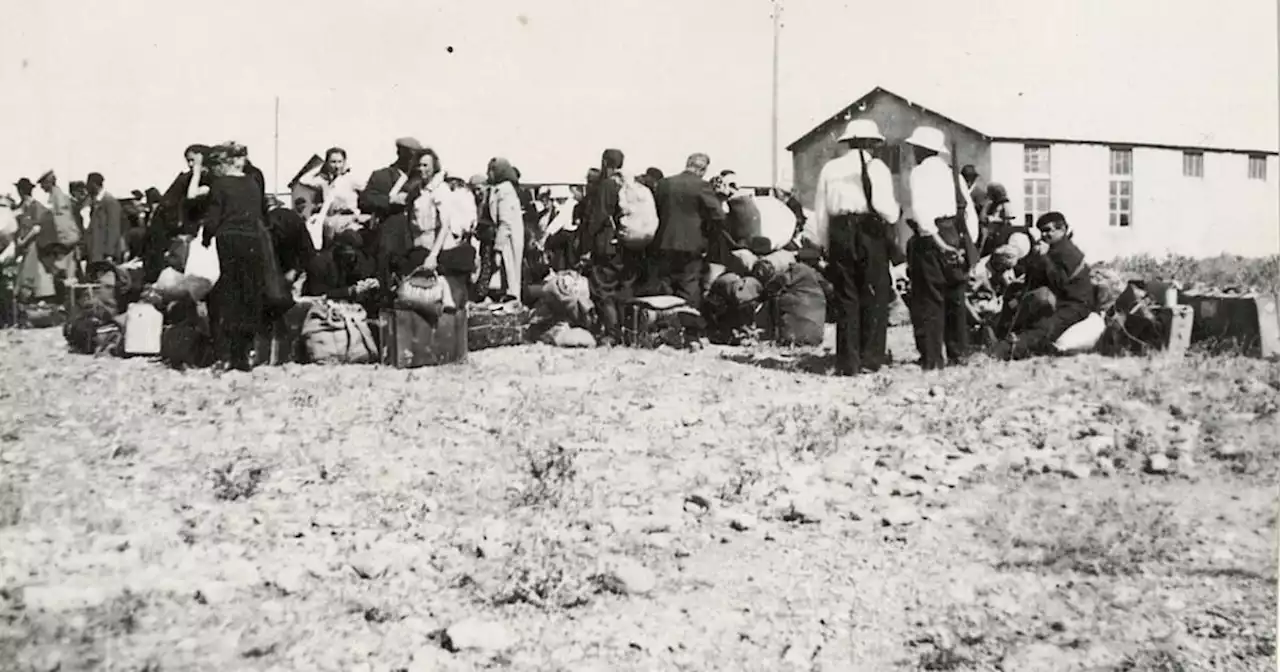 Rivesaltes, lieu de mémoire méconnu de la Collaboration de Vichy