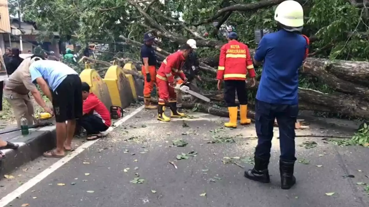 Akses Jalan Penghubung Tangerang dan Jakarta Selatan Sempat Tertutup Akibat Pohon Besar Tumbang