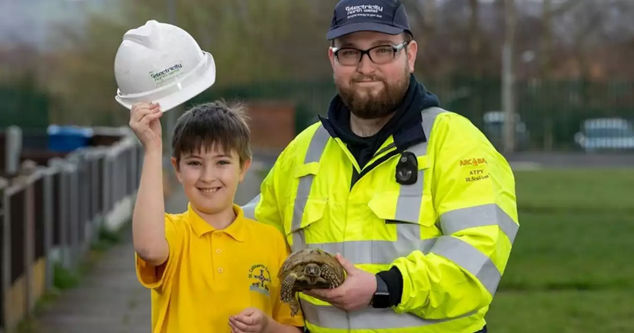 Tortoise missing for 7 months reunited with owner after substation 'power nap'