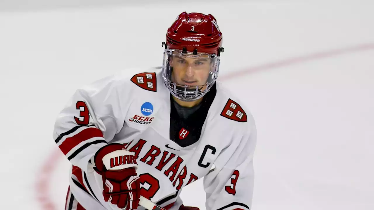 Sharks sign prolific Harvard defenseman to two-year contract