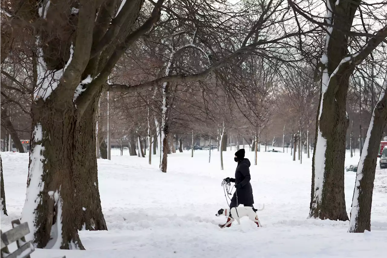 Timeline Shows Snowfall Pummeling Parts of Chicago Area Saturday