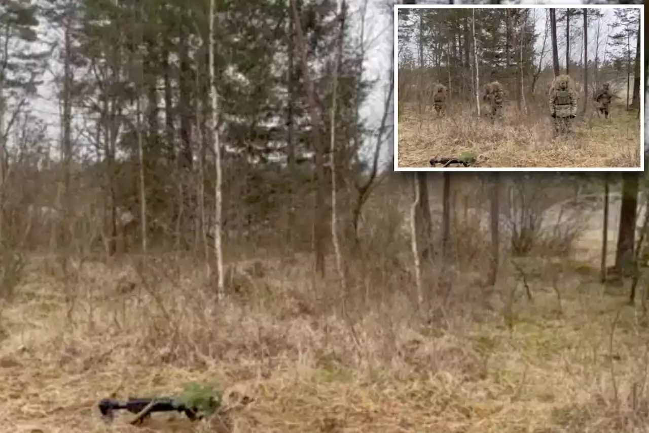 Watch Ukrainian soldiers emerge from camouflage