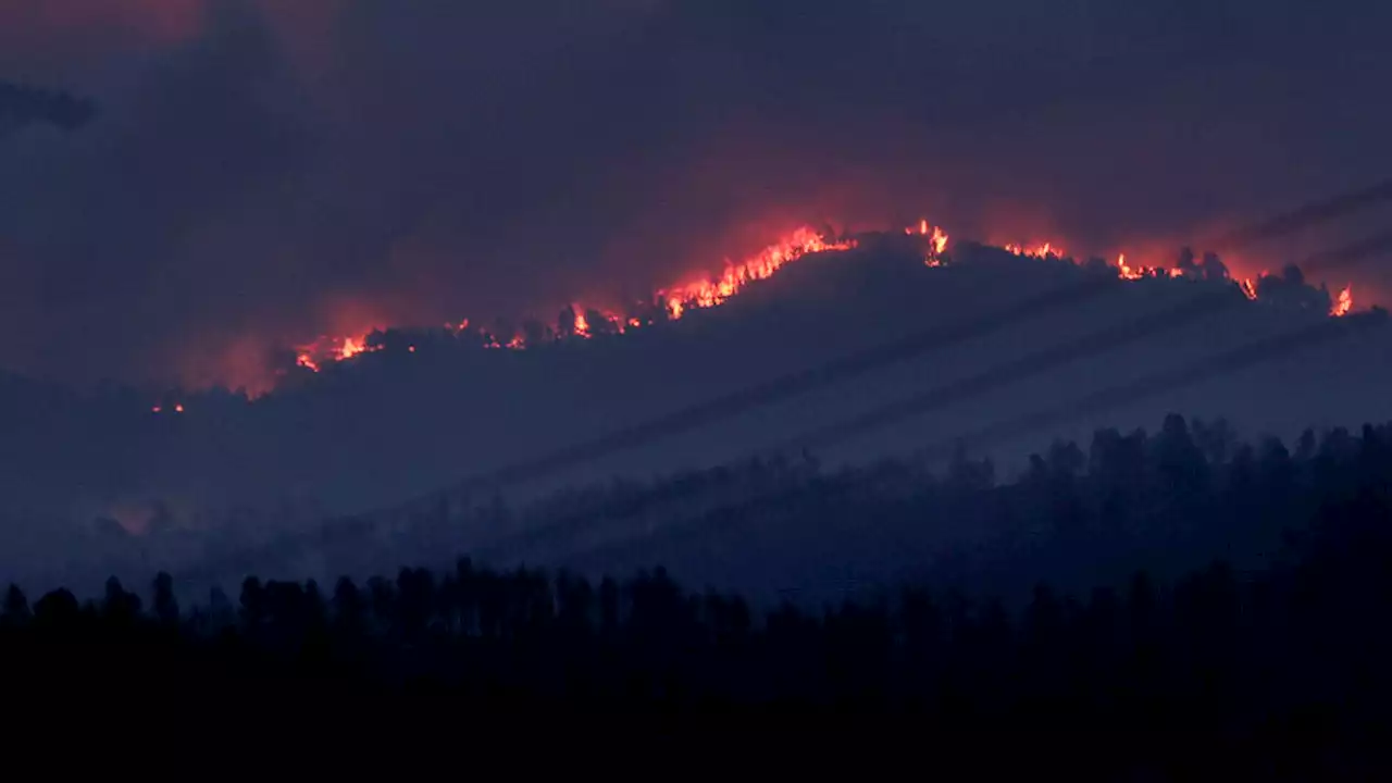 Avanza sin control el primer gran incendio forestal del año en España | Ya hay 1.500 evacuados