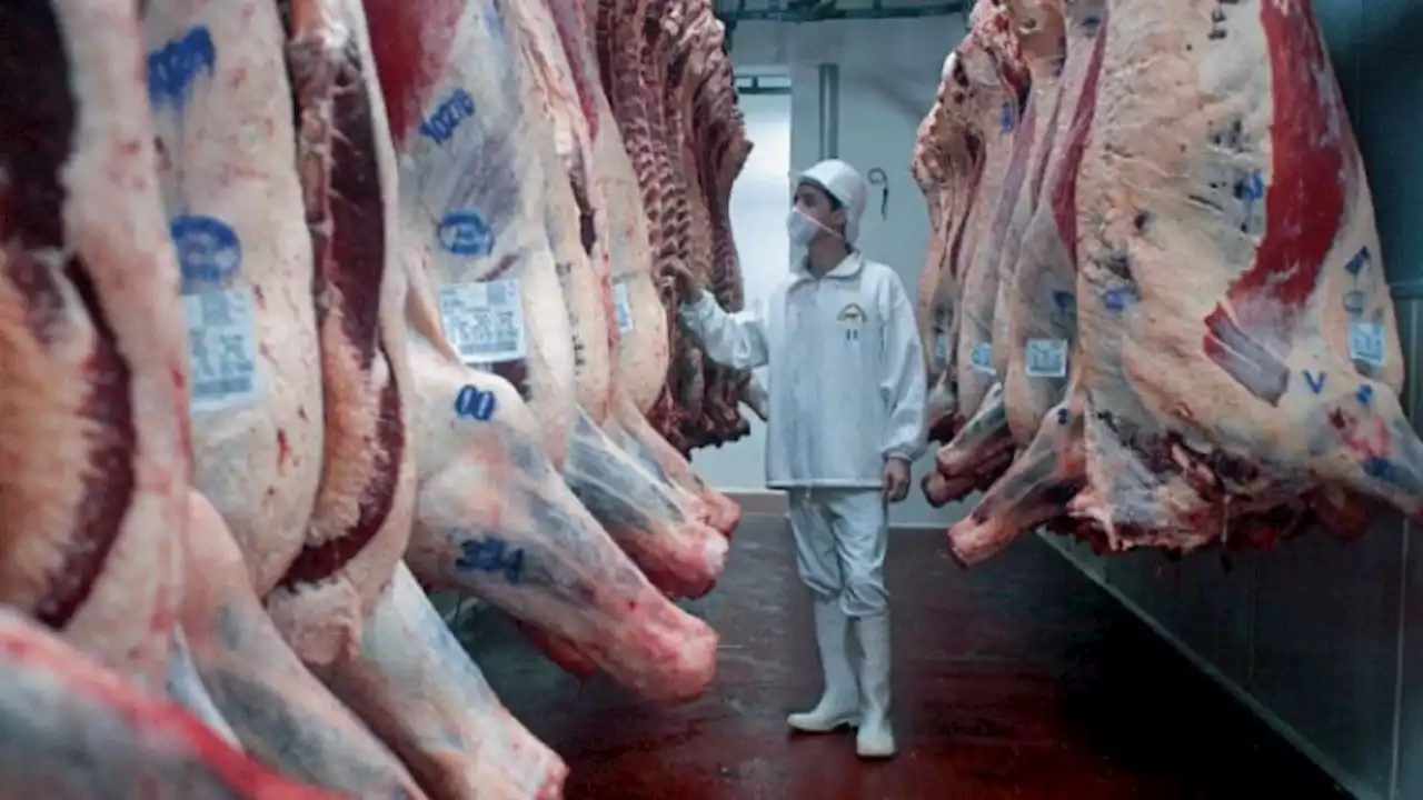 Caída en la exportación de carne | Más volumen despachado, pero menos ingresos en febrero