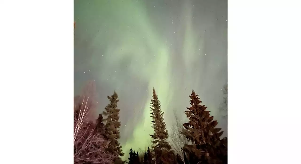 Northern Lights put on a show in Prince George