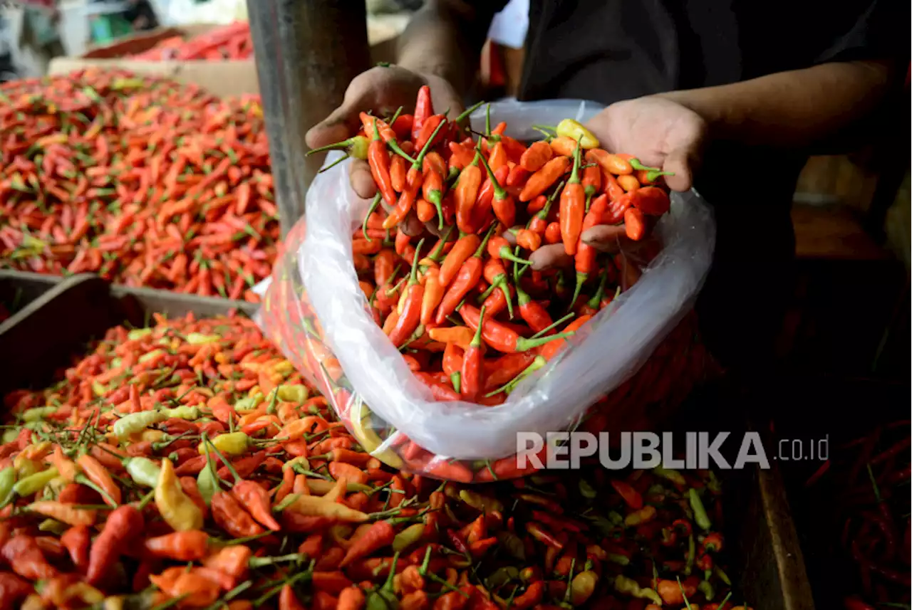 Harga Cabai Rawit Merah di Indramayu Menlonjak Hingga Rp 90 Ribu/Kg |Republika Online