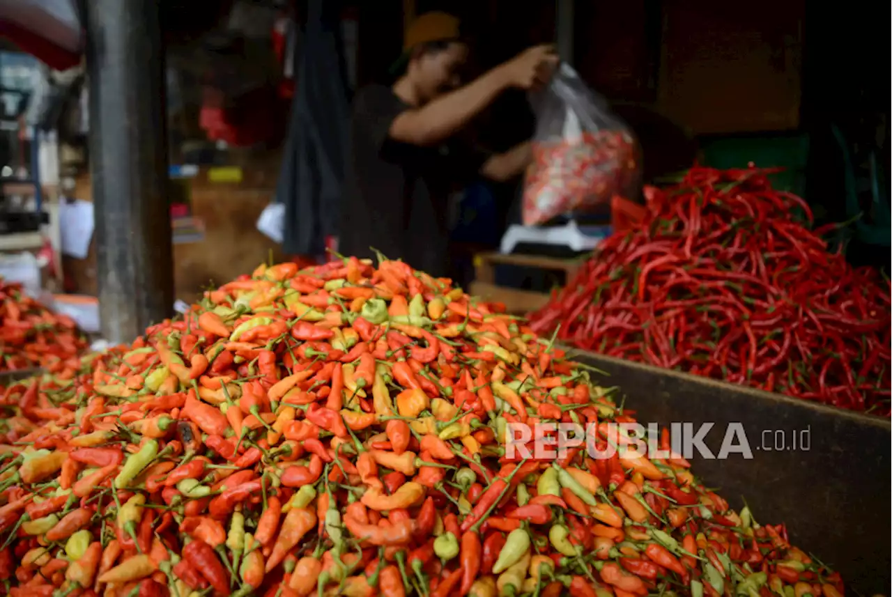 Harga Cabai Rawit Merah Tembus Rp 90 Ribu Per Kilogram |Republika Online