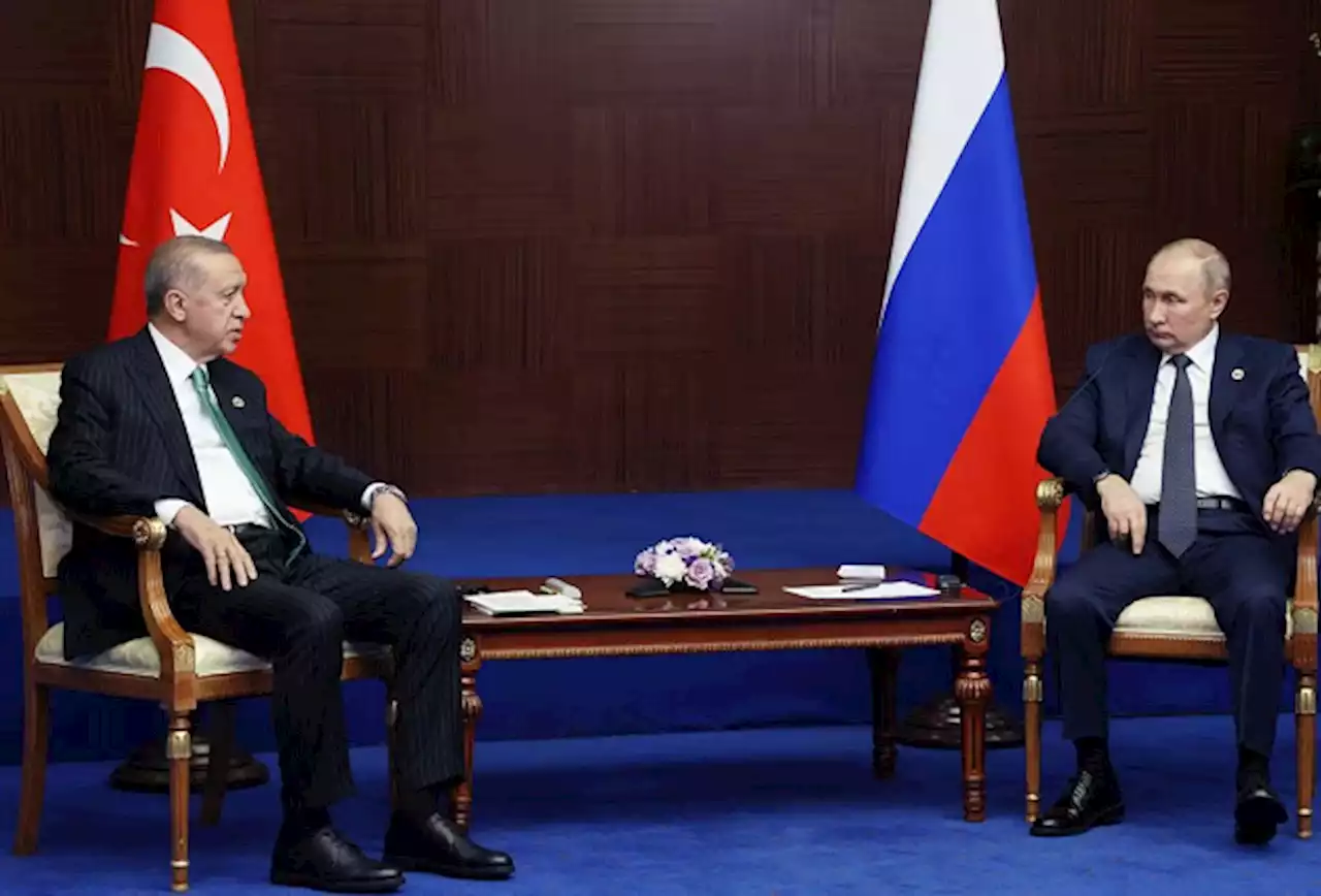 Putin and Erdogan held a phone call and discussed the grain deal - SABC News