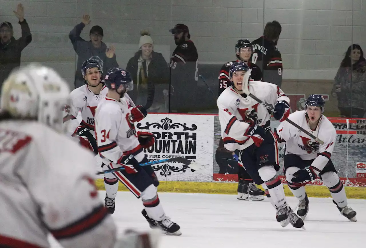 Kwestel scores in overtime as Wildcats tie junior A playoff series with Bearcats | SaltWire