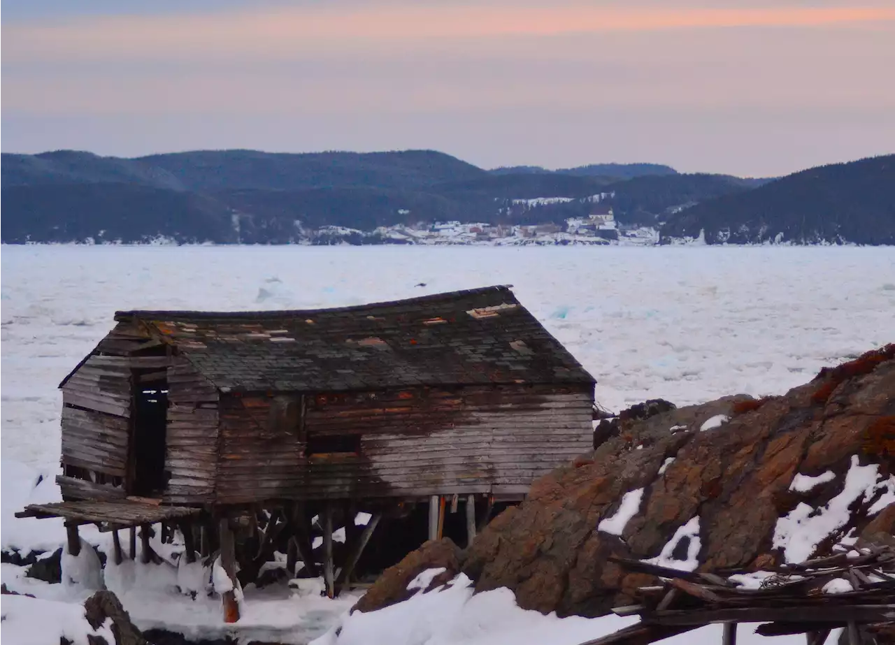 LETTER: Government must do something to 'save the heart and soul' of N.L. — its rural outport communities | SaltWire