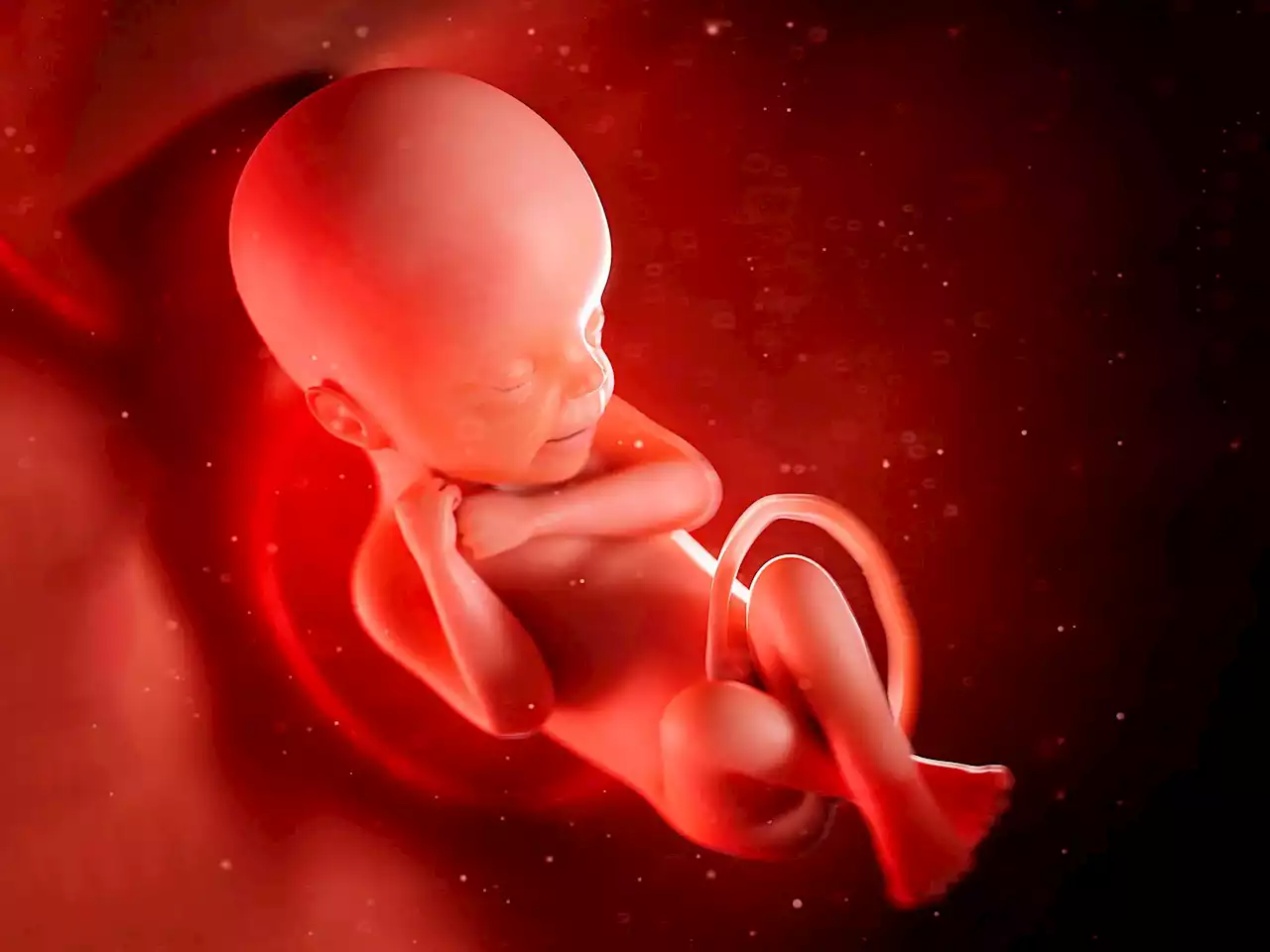 New Study Identifies 5 Key Factors That Can Reduce the Risk of Low Birth Weight