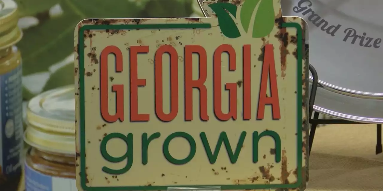 South Ga. representative aims to protect farmer safety nets in new farm bill