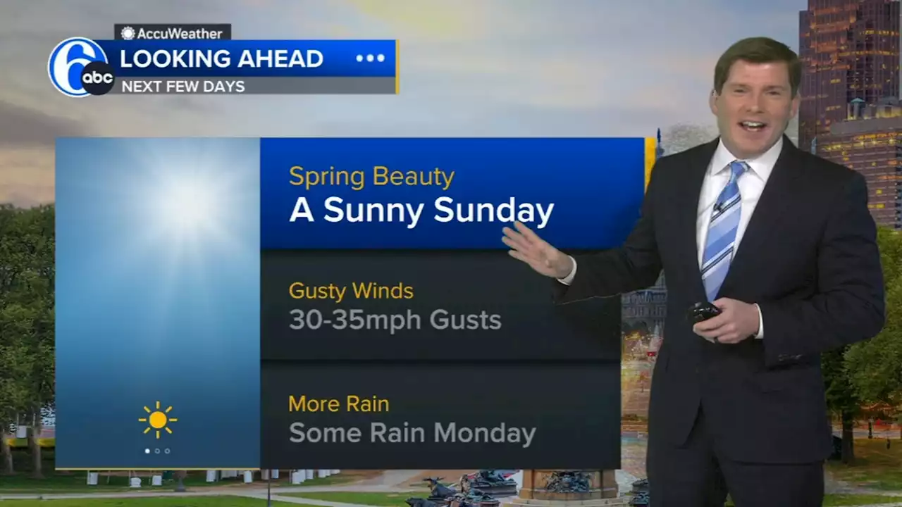 AccuWeather: Sunny Sunday