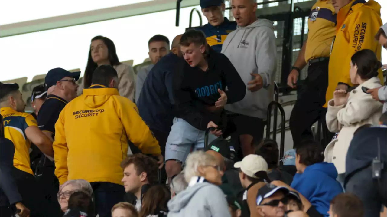 Four arrested as wild brawl erupts in the stands at the MCG