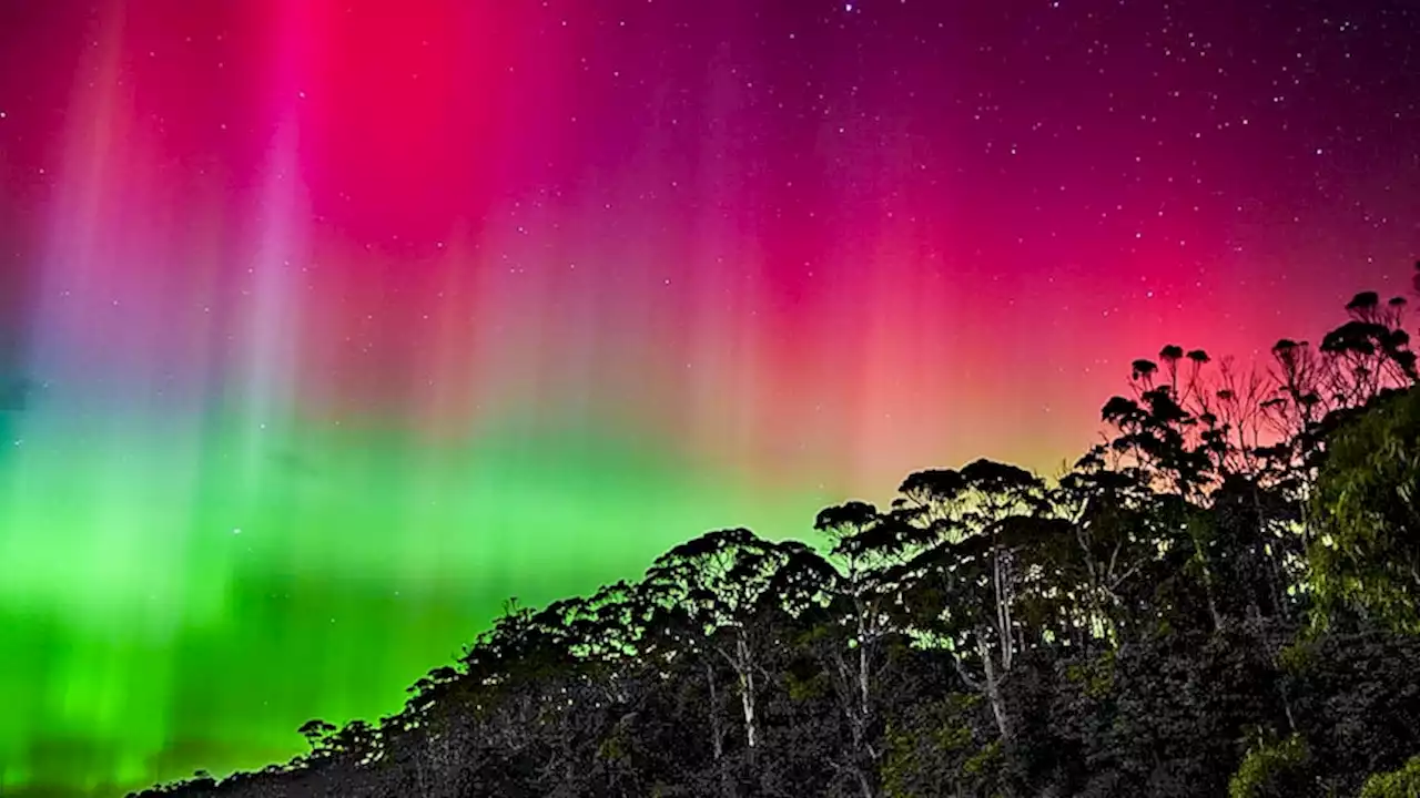 'Absolutely blew my socks off': Vibrant Aurora Australis light show may be set to continue