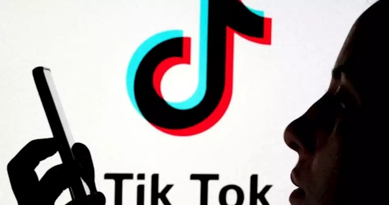 US House speaker says lawmakers to move forward with TikTok bill