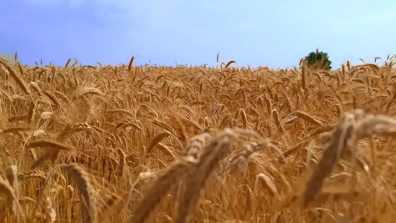 Lorsqu'un propriétaire est exproprié, il peut certaines fois récupérer son bien