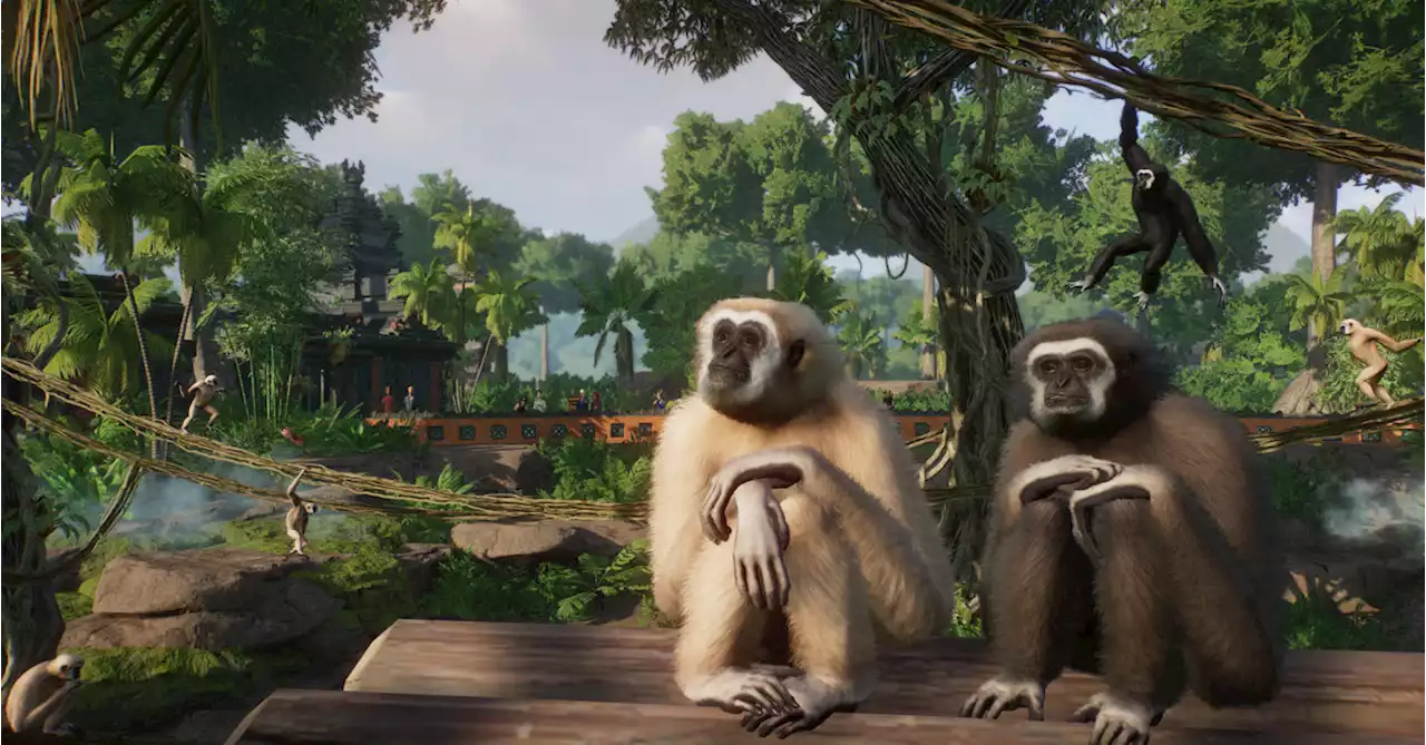 Planet Zoo: Tropical Pack Will Be Released On April 4th