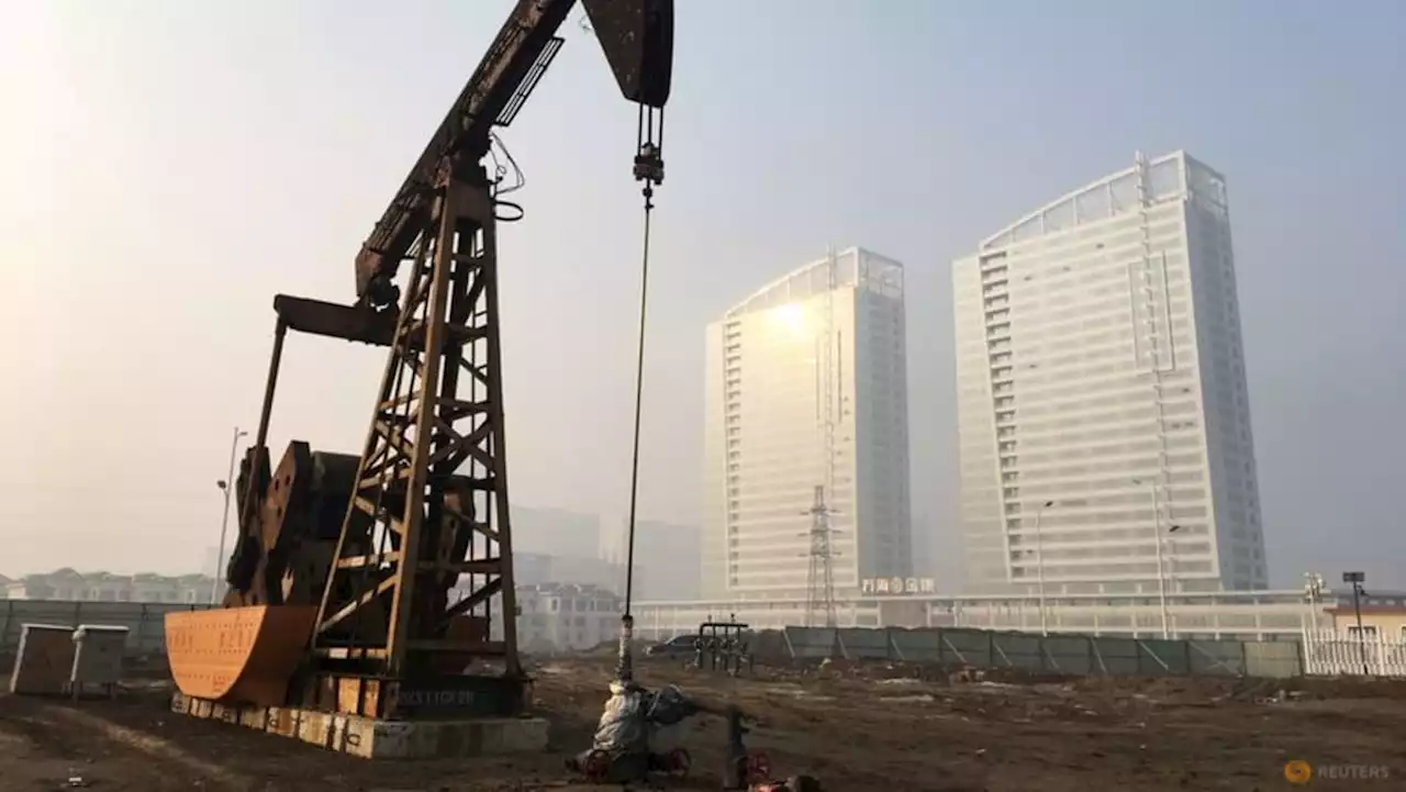 Sinopec's 2022 net profit falls 6.9% as COVID curbs hit fuel, chemicals demand