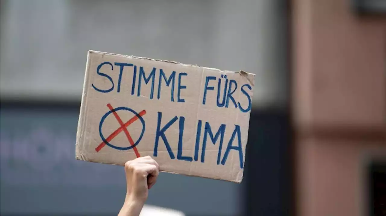 Umweltschutzorganisationen: Aufbruchssignal für Klimaschutz