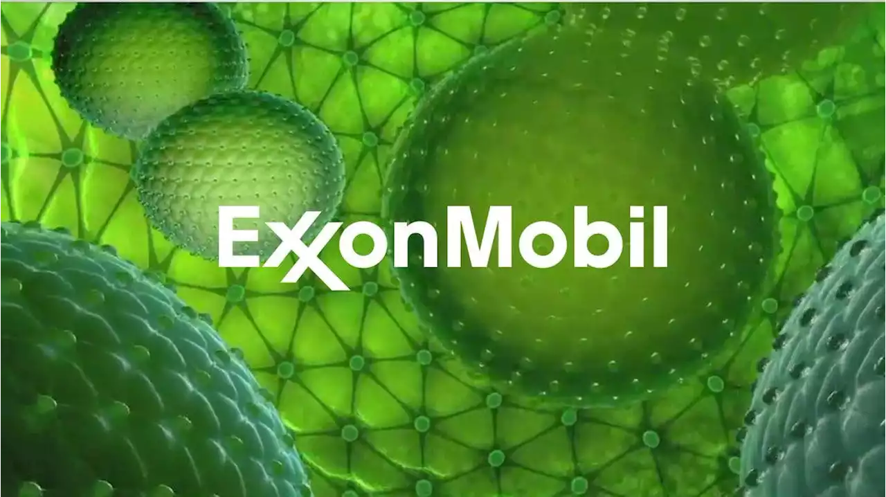 8th Circuit Rules Minnesota Suit Against Exxon, API, & Koch Industries Can Be Heard In State Court - CleanTechnica