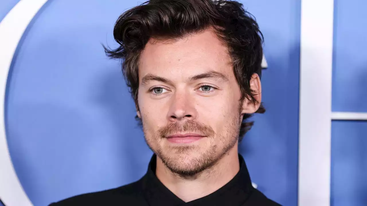 Harry Styles et Emily Ratajkowski en couple ? Ce baiser au Japon qui n'a échappé à personne