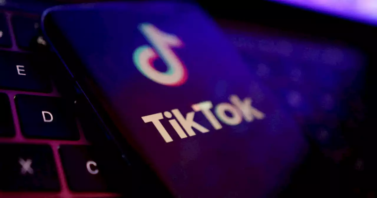 Réseaux sociaux. Ces personnes qui fuient TikTok mais regardent quand même les vidéos