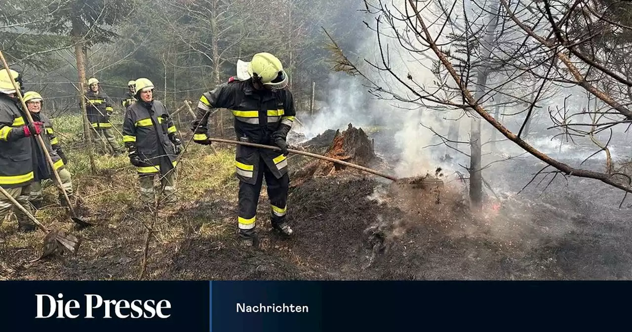 Zigarette löst neun Hektar großen Waldbrand in Niederösterreich aus