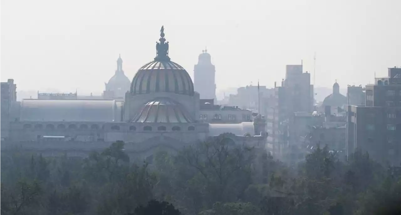 Activan contingencia atmosférica por ozono en Valle de México