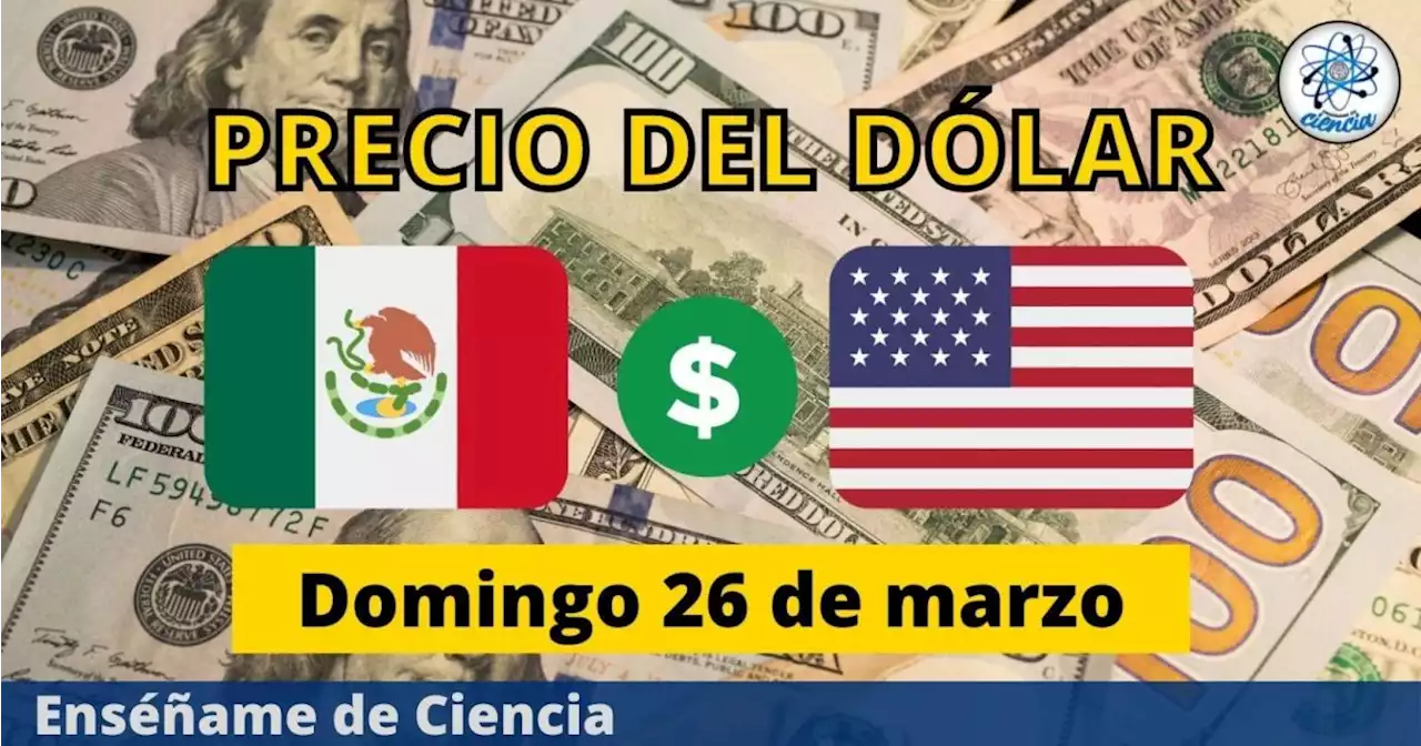 Precio del dólar hoy domingo 26 de marzo, ¿cómo amaneció el tipo de cambio en México?