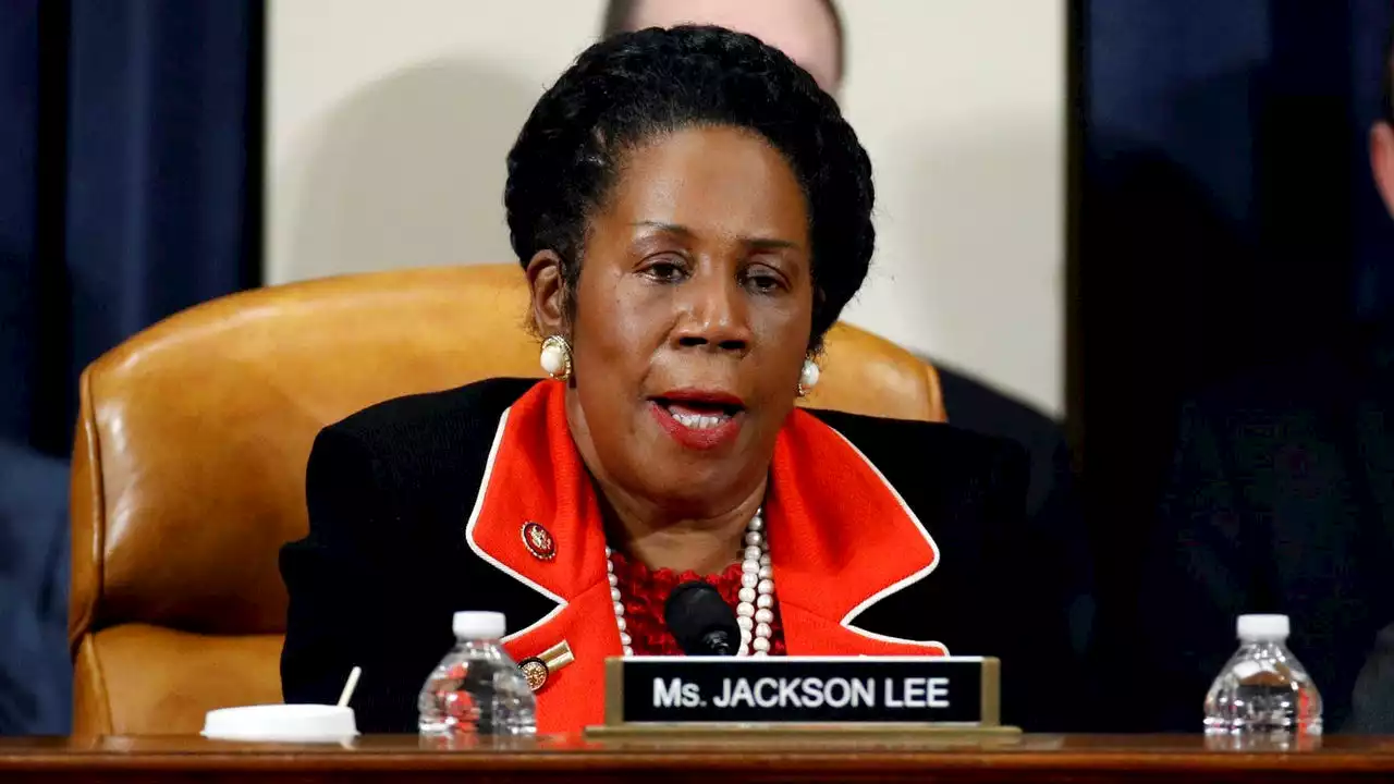 Sheila Jackson Lee for mayor - What's Your Point?