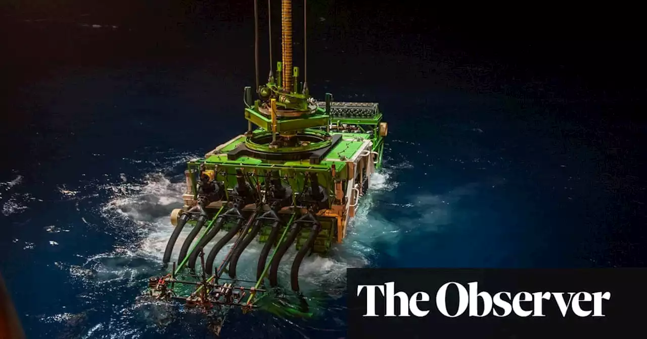 Deep-sea mining for rare metals will destroy ecosystems, say scientists