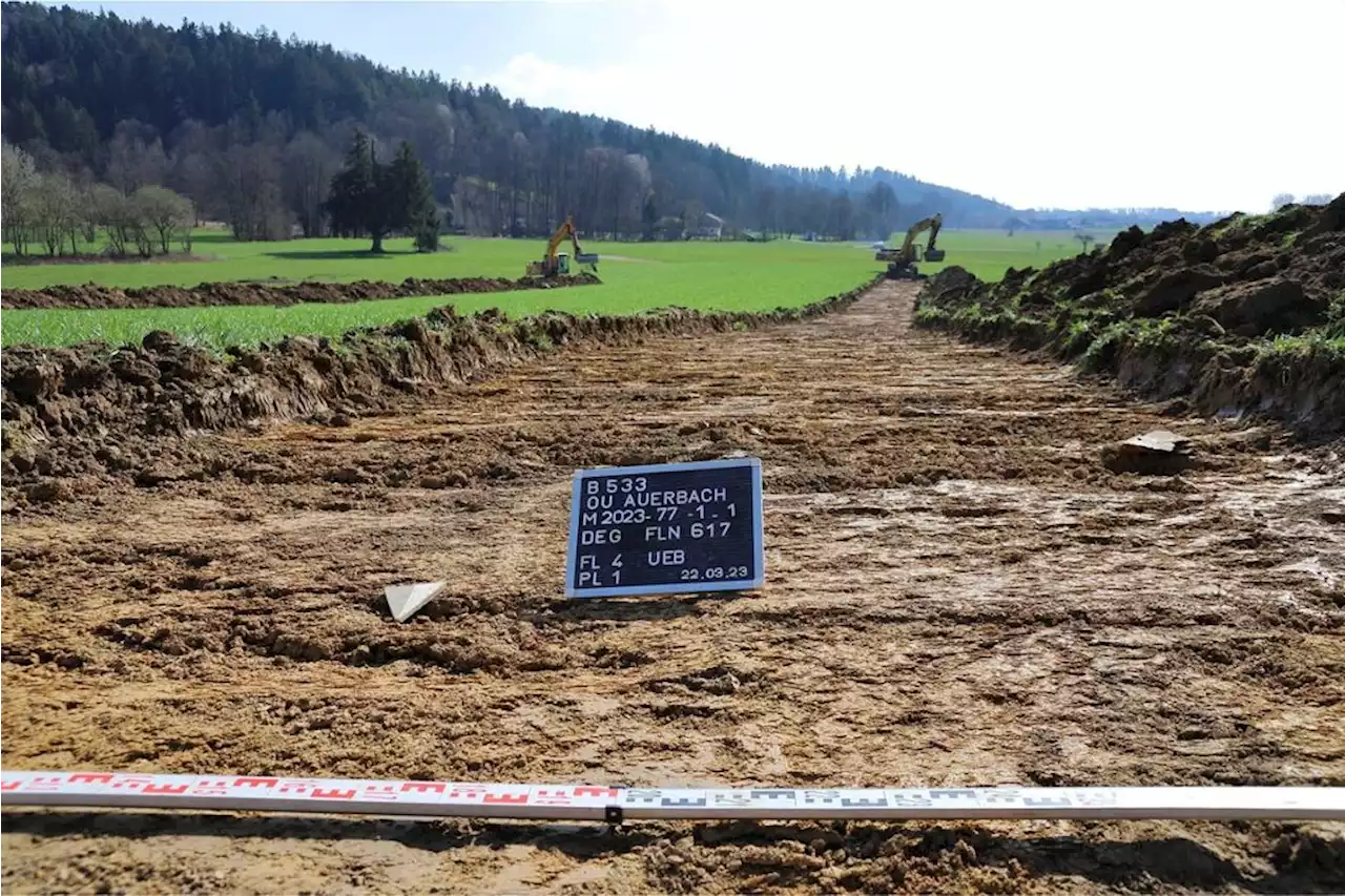 Trasse der neuen B533: Kampfmittelerkunder untersuchen Ortsumgehung bei Auerbach - idowa